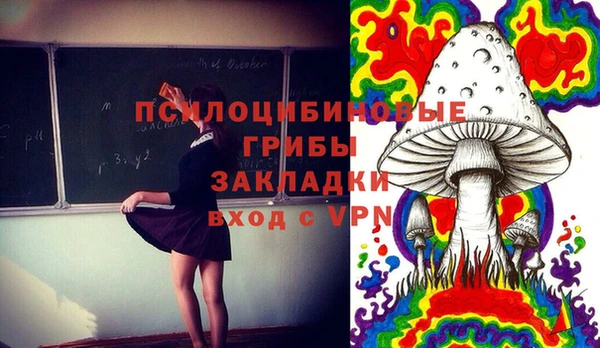 ГАЛЛЮЦИНОГЕННЫЕ ГРИБЫ Алексин